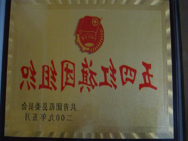 五四红旗团组织（共青团范县委员会）